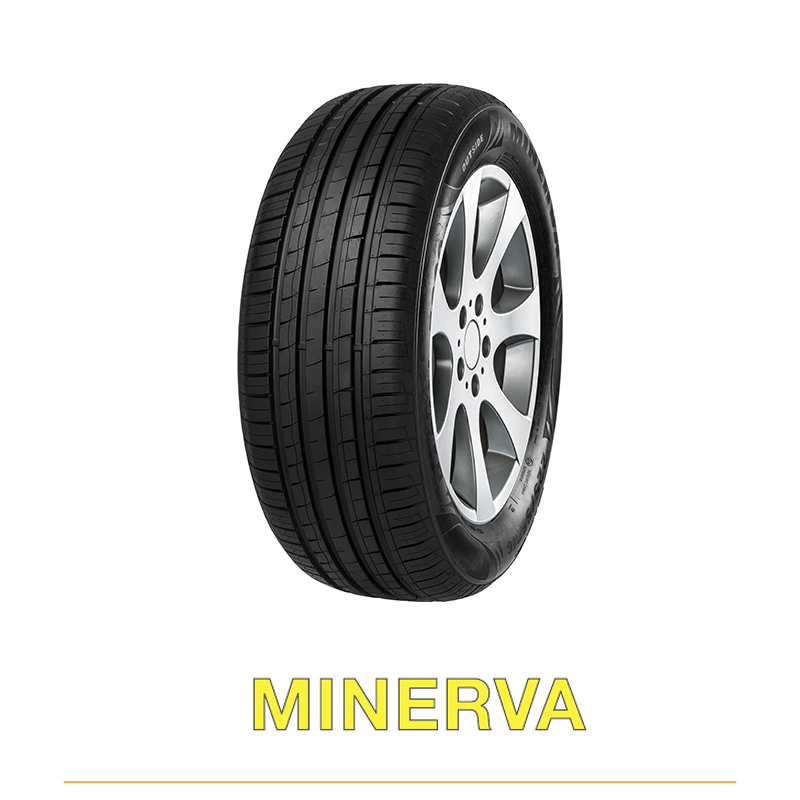 Minerva F209 (165/70R14) – 81T